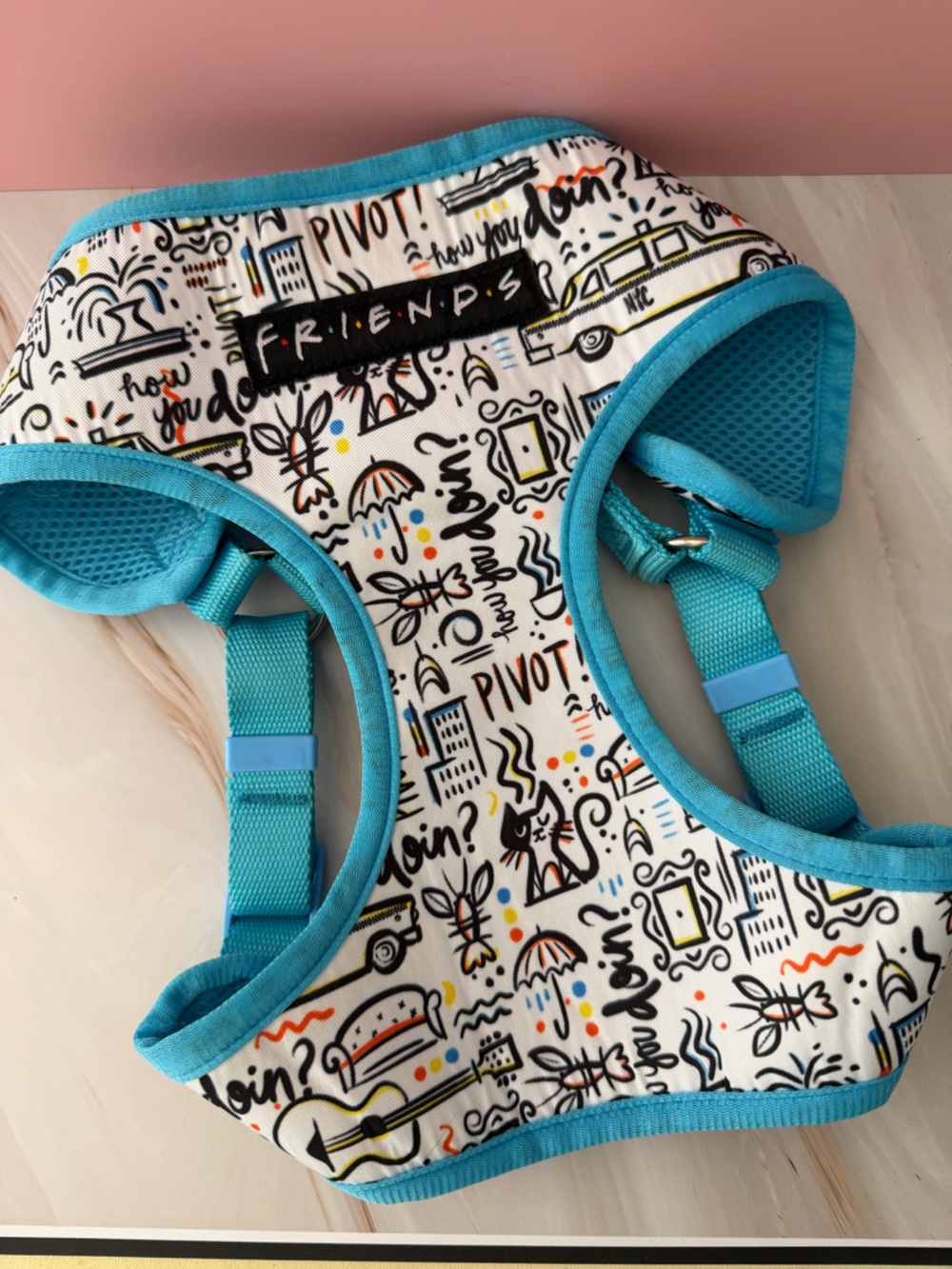 FRIENDS Turquoise Mesh Pet Harness - Medium